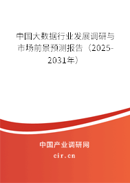 中國(guó)大數(shù)據(jù)行業(yè)發(fā)展調(diào)研與市場(chǎng)前景預(yù)測(cè)報(bào)告（2025-2031年）