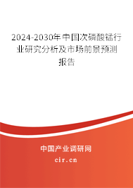 2024-2030年中國次磷酸錳行業(yè)研究分析及市場前景預(yù)測報(bào)告