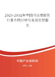 2025-2031年中國IT運(yùn)維服務(wù)行業(yè)市場(chǎng)分析與發(fā)展前景報(bào)告