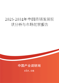 2025-2031年中國(guó)商鋪發(fā)展現(xiàn)狀分析與市場(chǎng)前景報(bào)告