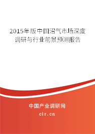 2015年版中國沼氣市場深度調(diào)研與行業(yè)前景預(yù)測報告