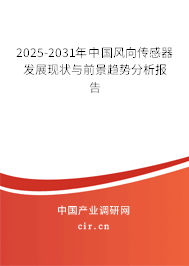 2025-2031年中國風向傳感器發(fā)展現(xiàn)狀與前景趨勢分析報告