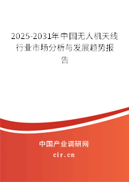 2025-2031年中國無人機天線行業(yè)市場分析與發(fā)展趨勢報告