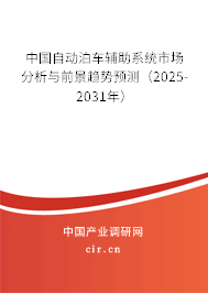 中國(guó)自動(dòng)泊車輔助系統(tǒng)市場(chǎng)分析與前景趨勢(shì)預(yù)測(cè)（2024-2030年）