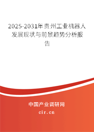 2025-2031年貴州工業(yè)機(jī)器人發(fā)展現(xiàn)狀與前景趨勢(shì)分析報(bào)告