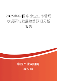 2025年中國中小企業(yè)市場現(xiàn)狀調(diào)研與發(fā)展趨勢預(yù)測分析報(bào)告