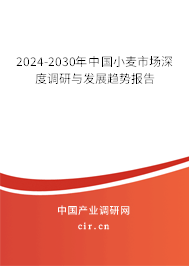 2024-2030年中國(guó)小麥?zhǔn)袌?chǎng)深度調(diào)研與發(fā)展趨勢(shì)報(bào)告