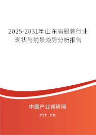 2025-2031年山東省服裝行業(yè)現(xiàn)狀與前景趨勢分析報告