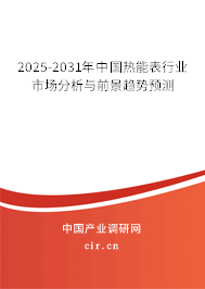 2025-2031年中國(guó)熱能表行業(yè)市場(chǎng)分析與前景趨勢(shì)預(yù)測(cè)