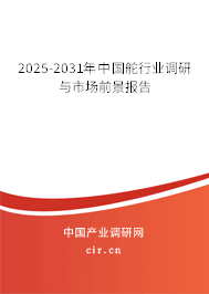 2025-2031年中國舵行業(yè)調(diào)研與市場前景報告