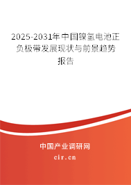 2025-2031年中國鎳氫電池正負極帶發(fā)展現(xiàn)狀與前景趨勢報告