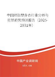 中國(guó)燃脂塑身衣行業(yè)分析與前景趨勢(shì)預(yù)測(cè)報(bào)告（2024-2030年）