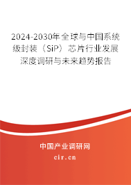 2024-2030年全球與中國系統級封裝（SiP）芯片行業(yè)發(fā)展深度調研與未來趨勢報告