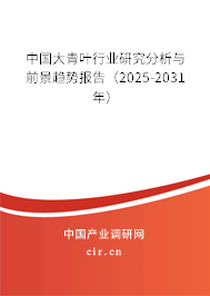 中國大青葉行業(yè)研究分析與前景趨勢報告（2025-2031年）