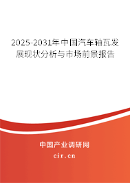2025-2031年中國(guó)汽車軸瓦發(fā)展現(xiàn)狀分析與市場(chǎng)前景報(bào)告
