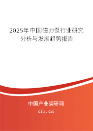 2025年中國磁力泵行業(yè)研究分析與發(fā)展趨勢(shì)報(bào)告