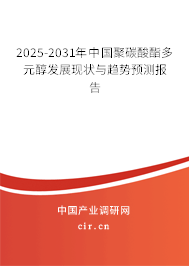 2025-2031年中國(guó)聚碳酸酯多元醇發(fā)展現(xiàn)狀與趨勢(shì)預(yù)測(cè)報(bào)告