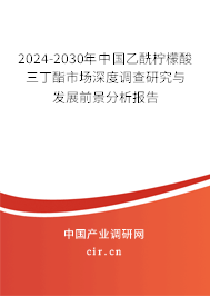 2024-2030年中國乙酰檸檬酸三丁酯市場深度調(diào)查研究與發(fā)展前景分析報告