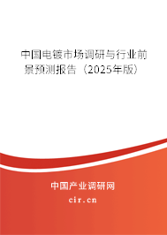 中國(guó)電鍍市場(chǎng)調(diào)研與行業(yè)前景預(yù)測(cè)報(bào)告（2025年版）
