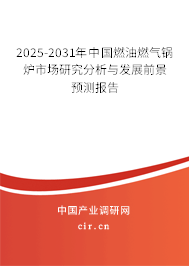 2025-2031年中國(guó)燃油燃?xì)忮仩t市場(chǎng)研究分析與發(fā)展前景預(yù)測(cè)報(bào)告