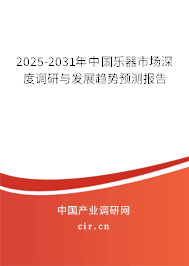 2025-2031年中國(guó)樂(lè)器市場(chǎng)深度調(diào)研與發(fā)展趨勢(shì)預(yù)測(cè)報(bào)告