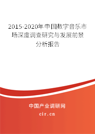 2015-2020年中國數(shù)字音樂市場深度調(diào)查研究與發(fā)展前景分析報告
