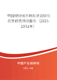 中國棉短絨市場現(xiàn)狀調(diào)研與前景趨勢預(yù)測報(bào)告（2025-2031年）
