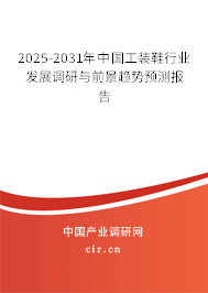 2024-2030年中國工裝鞋行業(yè)發(fā)展調(diào)研與前景趨勢預(yù)測報告