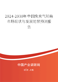 2024-2030年中國(guó)免充氣輪胎市場(chǎng)現(xiàn)狀與發(fā)展前景預(yù)測(cè)報(bào)告