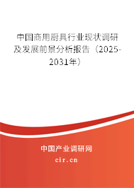 中國商用廚具行業(yè)現(xiàn)狀調(diào)研及發(fā)展前景分析報告（2025-2031年）