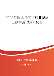 2024年脫水洋蔥片行業(yè)發(fā)展回顧與展望分析報(bào)告