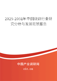 2025-2031年中國燒餅行業(yè)研究分析與發(fā)展前景報告