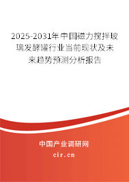 2025-2031年中國磁力攪拌玻璃發(fā)酵罐行業(yè)當前現(xiàn)狀及未來趨勢預(yù)測分析報告