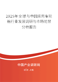 2025年全球與中國乘用車輪胎行業(yè)發(fā)展調(diào)研與市場前景分析報告