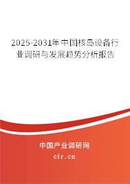 2025-2031年中國(guó)核島設(shè)備行業(yè)調(diào)研與發(fā)展趨勢(shì)分析報(bào)告
