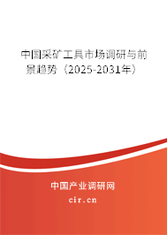 中國(guó)采礦工具市場(chǎng)調(diào)研與前景趨勢(shì)（2025-2031年）