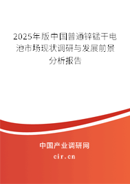2025年版中國(guó)普通鋅錳干電池市場(chǎng)現(xiàn)狀調(diào)研與發(fā)展前景分析報(bào)告