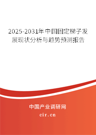 2025-2031年中國固定梯子發(fā)展現(xiàn)狀分析與趨勢預測報告