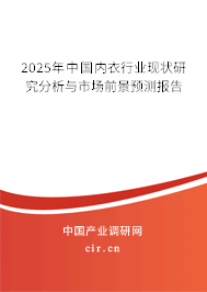2025年中國內(nèi)衣行業(yè)現(xiàn)狀研究分析與市場前景預(yù)測報告