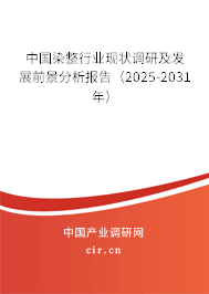中國(guó)染整行業(yè)現(xiàn)狀調(diào)研及發(fā)展前景分析報(bào)告（2025-2031年）