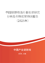 中國鋼鐵物流行業(yè)現(xiàn)狀研究分析及市場前景預(yù)測報(bào)告（2025年）
