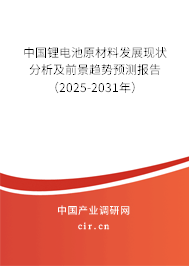 中國鋰電池原材料發(fā)展現(xiàn)狀分析及前景趨勢(shì)預(yù)測(cè)報(bào)告（2024-2030年）
