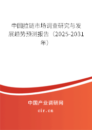 （最新）中國拉鏈市場調(diào)查研究與發(fā)展趨勢預(yù)測報告