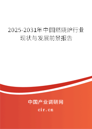 2025-2031年中國燃燒爐行業(yè)現(xiàn)狀與發(fā)展前景報(bào)告