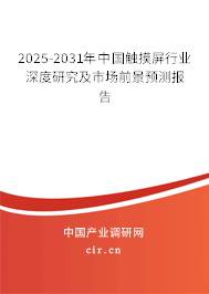 2025-2031年中國觸摸屏行業(yè)深度研究及市場前景預(yù)測報告