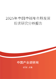 2025年中國中堿布市場發(fā)展現(xiàn)狀研究分析報告