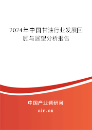 2024年中國甘油行業(yè)發(fā)展回顧與展望分析報告
