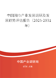 中國圍巾產(chǎn)業(yè)發(fā)展調(diào)研及發(fā)展趨勢評估報告（2025-2031年）