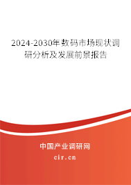 2024-2030年數(shù)碼市場現(xiàn)狀調研分析及發(fā)展前景報告
