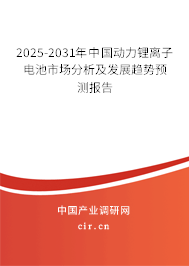 2025-2031年中國(guó)動(dòng)力鋰離子電池市場(chǎng)分析及發(fā)展趨勢(shì)預(yù)測(cè)報(bào)告